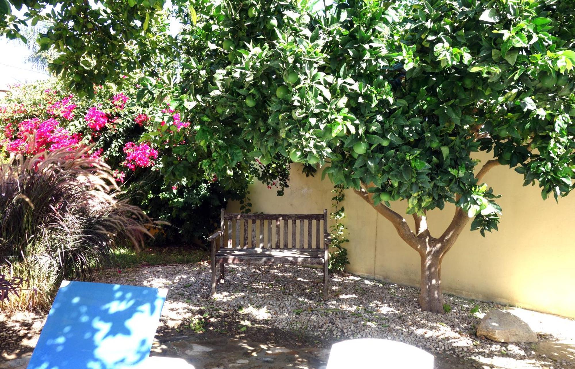Casa Limon - Ferienhaus - Pool - Klimaanlage - W-Lan Chiclana de la Frontera Bagian luar foto